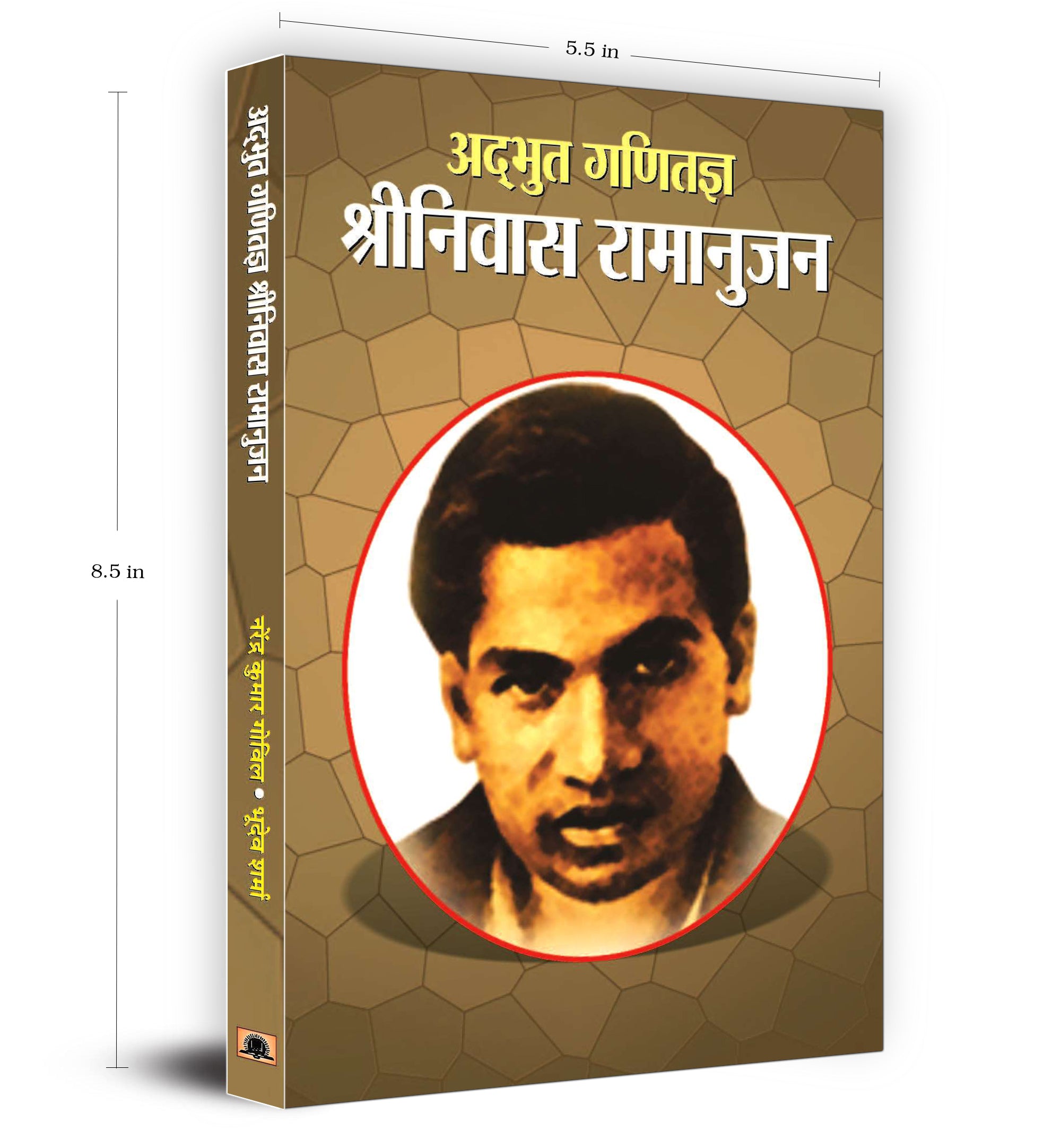Srinivas Ramanujan- Adbhut Ganitajan -  by NARENDRA KUMAR GOVIL (Hindi - Paperback)
